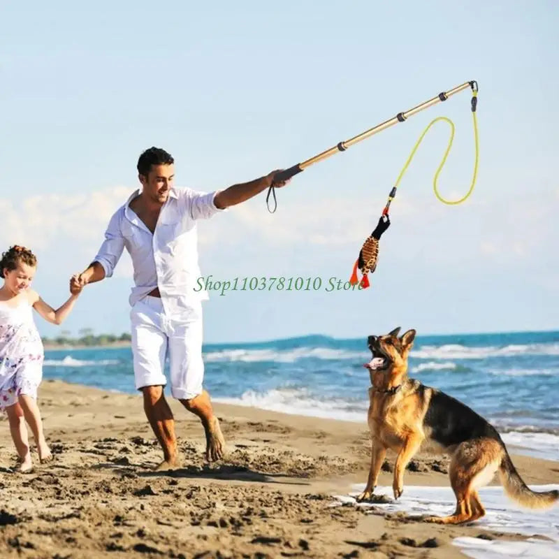 Jouet Interactif pour Chien – Accessoires Multiples