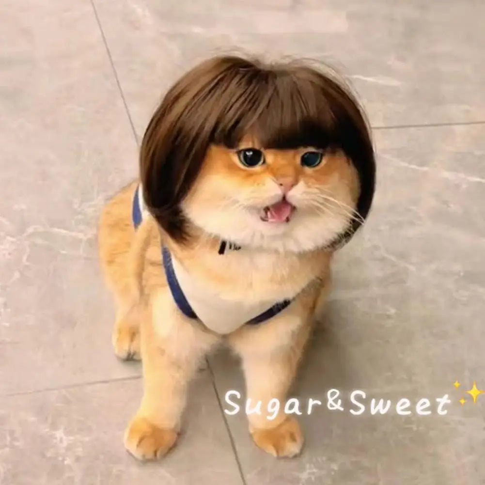 Perruque Costume pour Chien & Chat