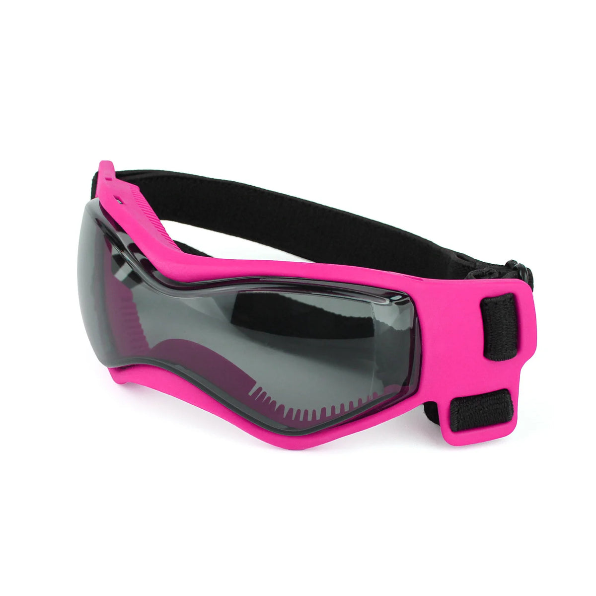 Lunettes de Soleil pour Chien & Chat