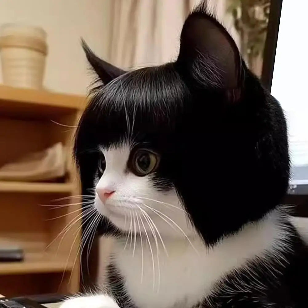 Perruque Costume pour Chien & Chat