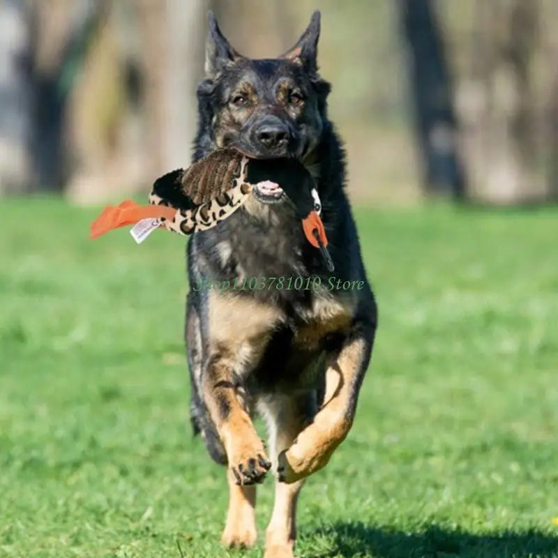 Jouet Interactif pour Chien – Accessoires Multiples