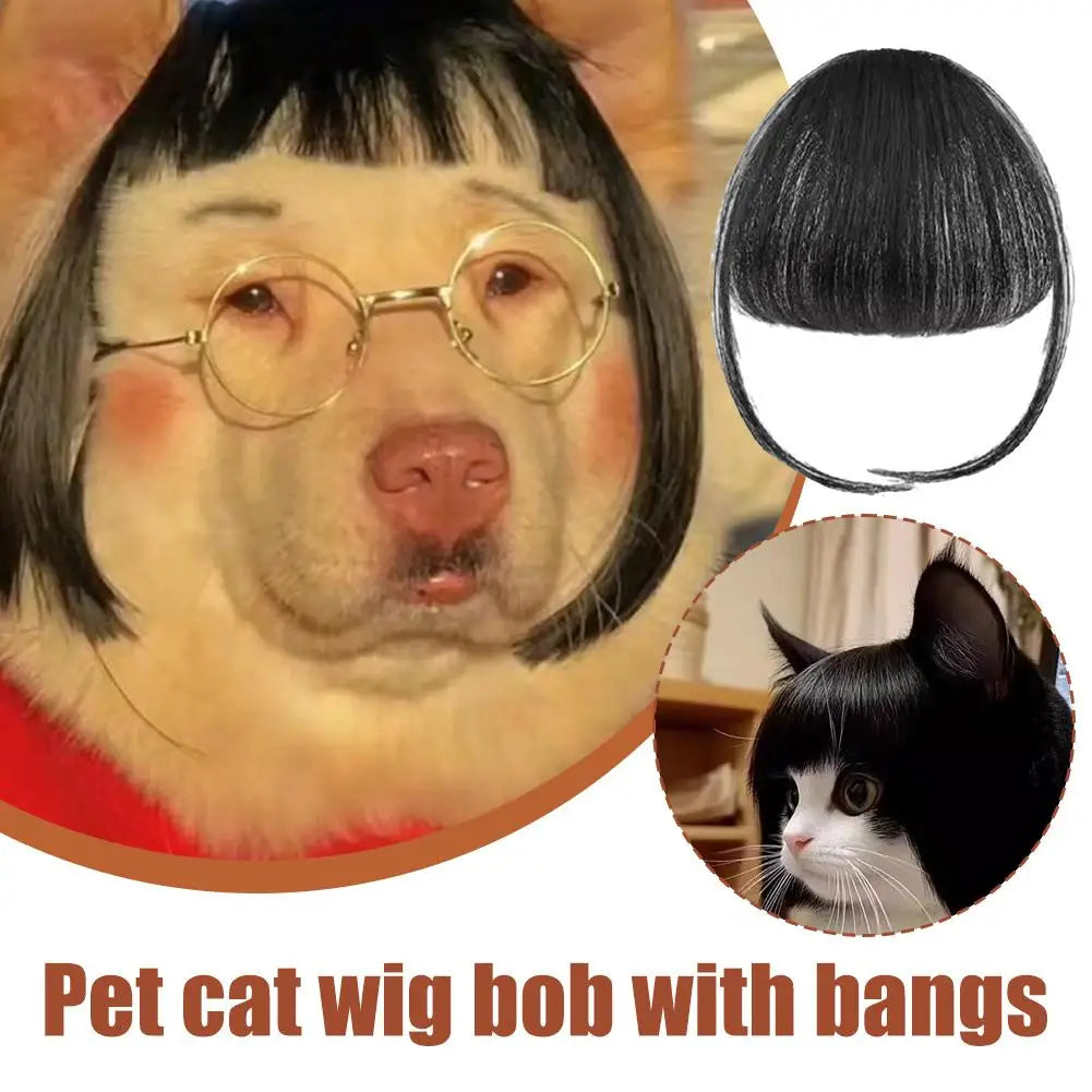 Perruque Costume pour Chien & Chat