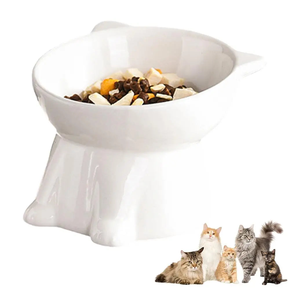 Gamelle Surélevée pour Chat & Petit Chien