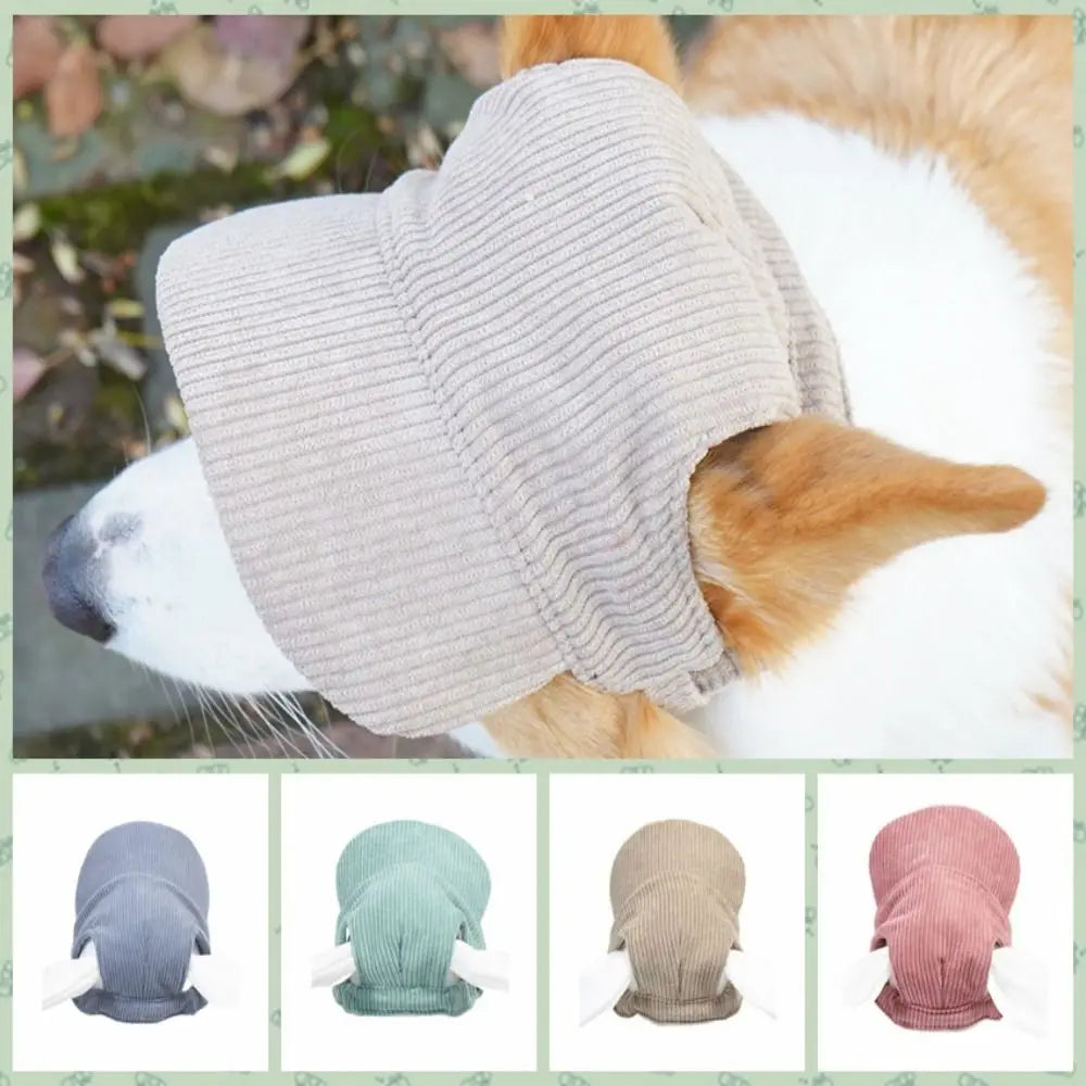Casquette Ajustable pour Chien