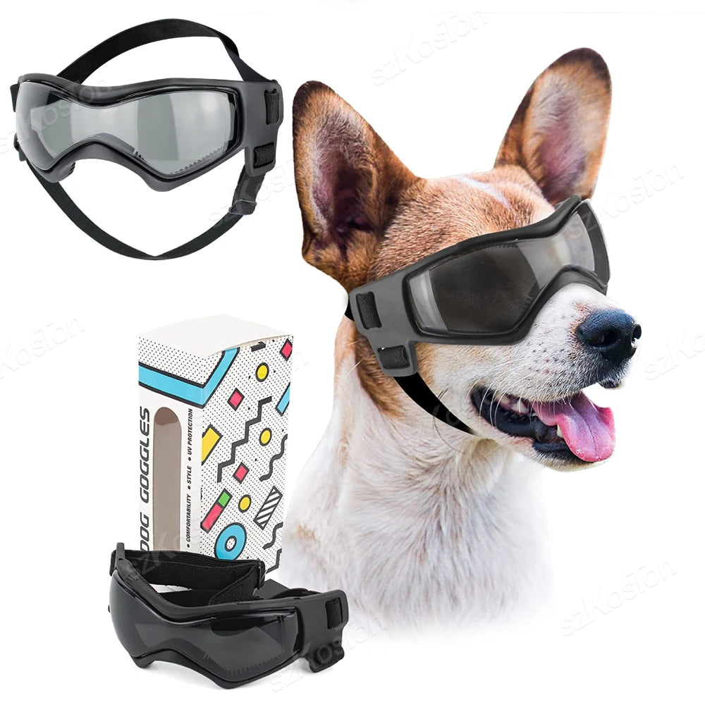 Lunettes de Soleil pour Chien & Chat