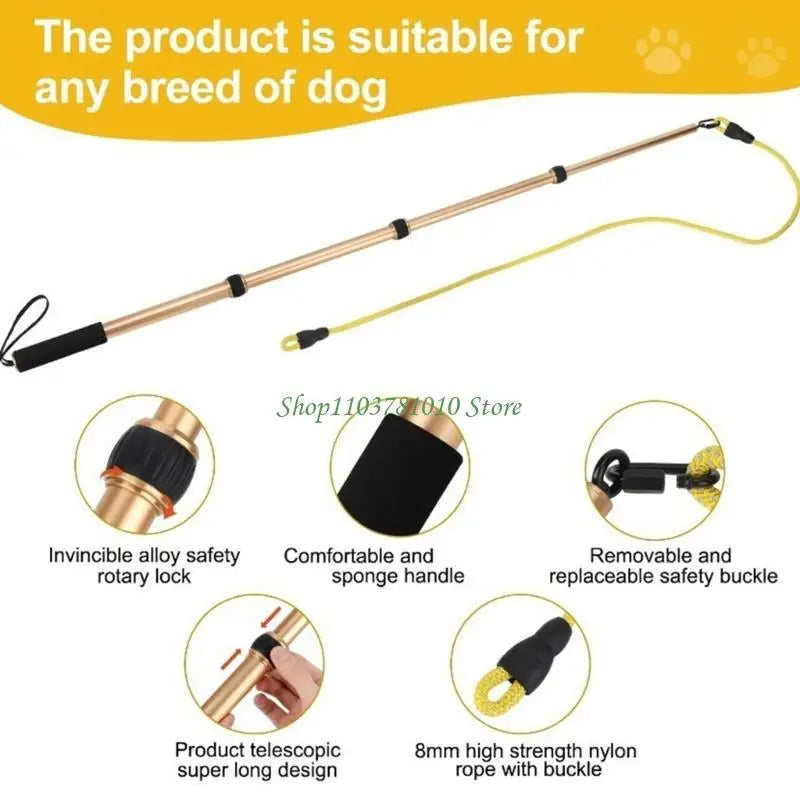 Jouet Interactif pour Chien – Accessoires Multiples
