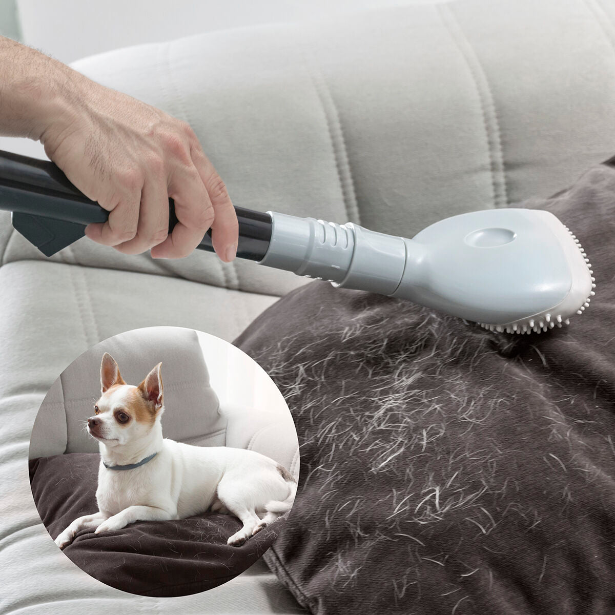 Brosse Aspirateur Anti-Poils Velmiyo™